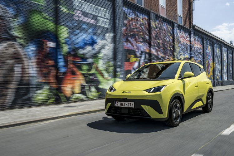 BYD DOLPHIN SURF 30 kWh Active