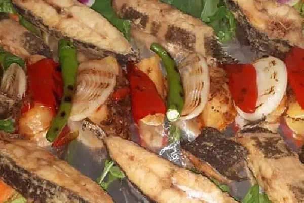Turbot Fish