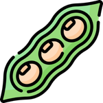 Soya fasulyesi