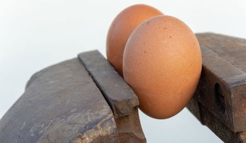 Testis Kanseri Tedavisi