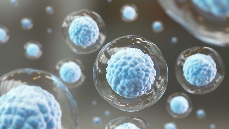 Kök Hücre ile Erektil Disfonksiyon Tedavisi