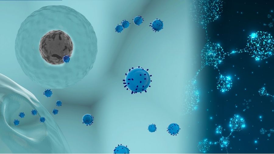 Erektil Disfonksiyon için Eksozom Tedavisi