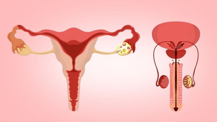 Üretra Darlıklarında Yenilikçi Endoskopik Tedaviler