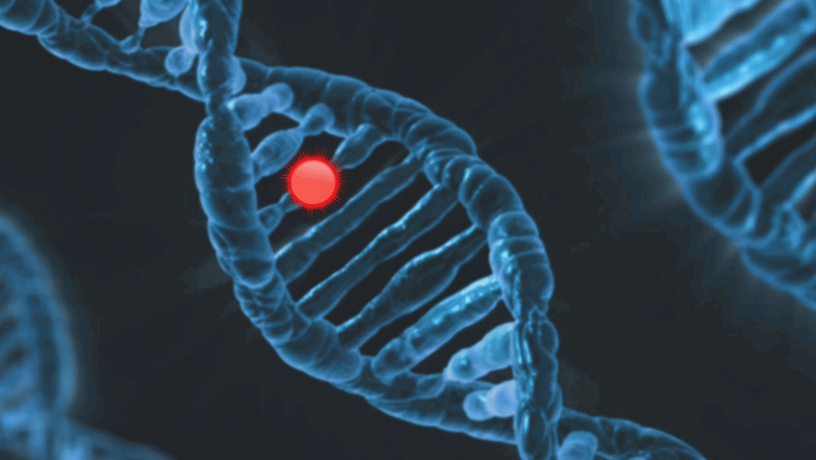 Böbrek Kanseri'nde Genetik Yatkınlık ve Aile Geçmişi