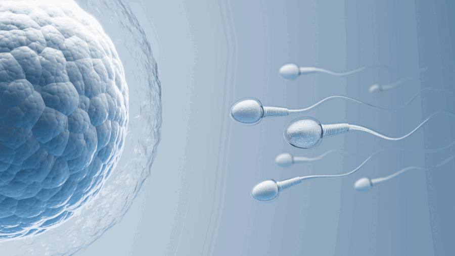 Testis Kanseri Sonrası Doğurganlık ve Sperm Koruma Yöntemleri