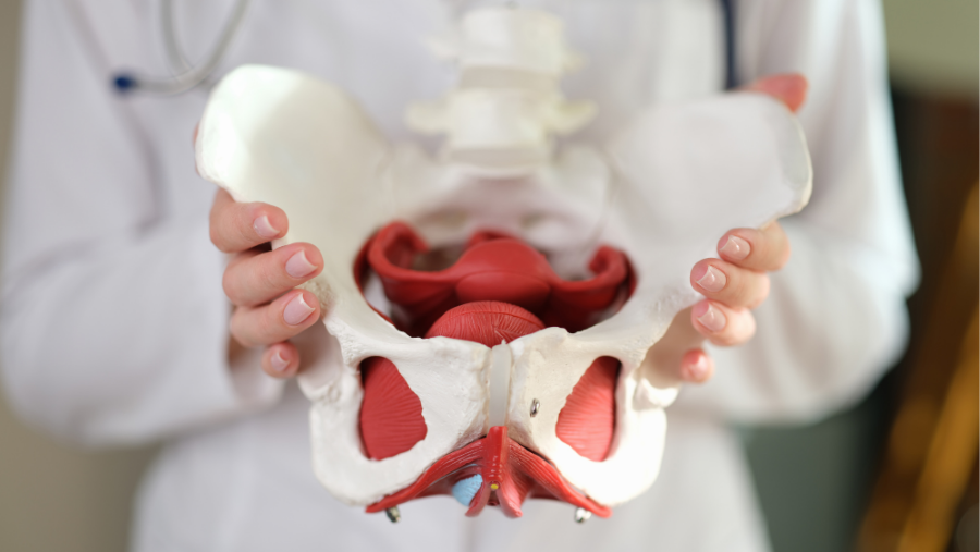 Üst Üriner Sistem Kanserleri