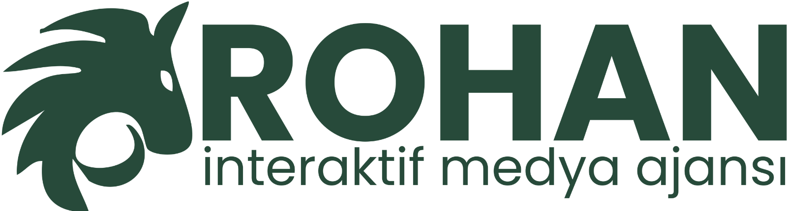 Rohan Medya Logo