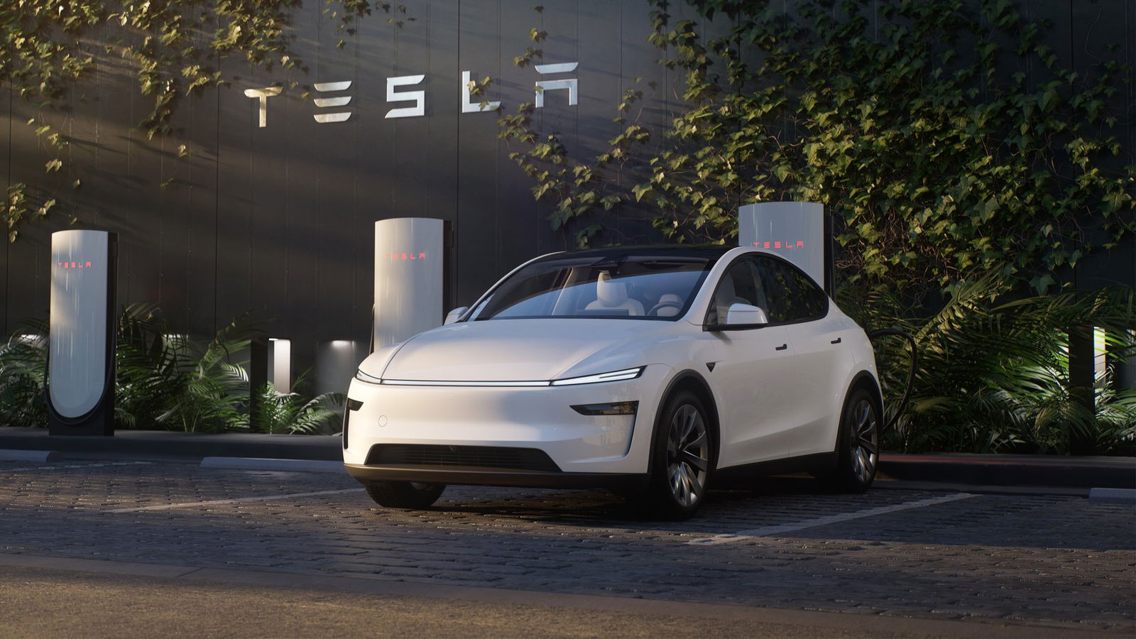 Tesla Model Y RWD (Juniper)