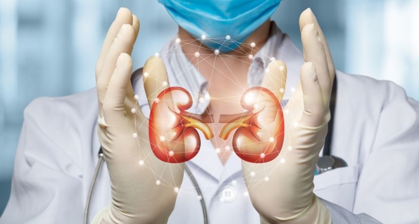 kidney robotic health